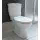 Aqualine Juan monoblokkos kombi WC csésze hátsó kifolyással és króm duál gombos öblítőmechanikával LC2154