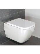 Arezzo design Ohio perem nélküli fali WC csésze AR-200R