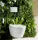 Duravit SensoWash® D-Neo Compact bidé funkiós kerámia WC csésze, HygieneGlaze 654000012004300