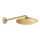 Grohe Rainshower Mono 310 fejzuhany, zuhanykarral 422 mm, arany 26558GL0