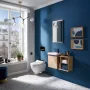Geberit AquaClean Tuma Comfort komplett higiéniai fali WC, fekete üveg takarólap 146.290.SJ.1