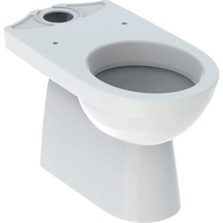 Geberit Selnova álló monoblokk WC csésze, mélyöblítésű, alsó kifolyású 500.151.01.7