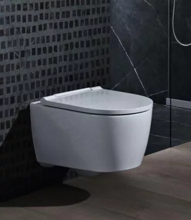 Geberit ONE TurboFlush fali WC 37x54 cm, ülőkével, fehér design takarólappal 500201011 (500.201.01.1)