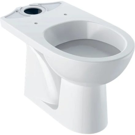 Geberit Selnova álló monoblokk WC csésze 36x67 cm mélyöblítésű, alsó kifolyású 500.281.01.7