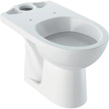 Geberit Selnova álló monoblokk WC csésze 36x67 cm mélyöblítésű, hátsó kifolyású 500.282.01.5