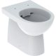 Geberit Selnova mélyöblítésű álló WC csésze 35,5x53 cm, Rimfree, hátsó vagy alsó kifolyással 500.393.01.7