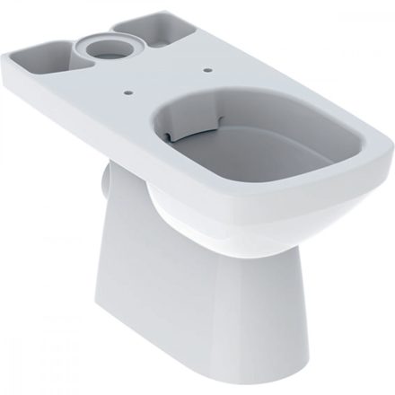 Geberit Selnova Square monoblokkos álló WC 68 cm, fehér 501.563.01.7