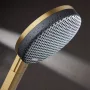 Hansgrohe Raindance Alive Select S 3 funkciós kézizuhany 125, szálcsiszolt bronz 24500140
