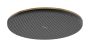 Hansgrohe Raindance Alive S 300 egy funkciós fejzuhany EcoSmart, szálcsiszolt bronz 24521140