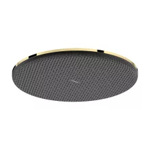   Hansgrohe Raindance Alive S 300 egy funkciós fejzuhany EcoSmart, polírozott arany hatású 24521990