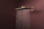 Hansgrohe Raindance Alive Q 2 funkciós fejzuhany zuhanykarral 340x210 mm, szálcsiszolt bronz 24550140