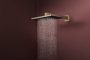 Hansgrohe Raindance Alive Q 2 funkciós fejzuhany zuhanykarral 340x210 mm, szálcsiszolt bronz 24550140