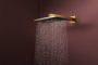 Hansgrohe Raindance Alive Q 2 funkciós fejzuhany zuhanykarral 340x210 mm, polírozott arany hatású 24550990
