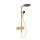 Hansgrohe Raindance Alive S zuhanyrendszer 300 ShowerSelect Comfort E termosztáttal, szálcsiszolt bronz 24582140