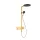 Hansgrohe Raindance Alive S zuhanyrendszer 300 ShowerSelect Comfort E termosztáttal, polírozott arany hatású 24582990