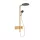 Hansgrohe Raindance Alive S zuhanyrendszer 300 ShowerSelect Comfort E EcoSmart, szálcsiszolt bronz 24583140