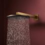 Hansgrohe Raindance Alive S Puro 1 funkciós zuhanyrendszer 300 Ecostat Element termosztát EcoSmart, szálcsiszolt bronz 24593140