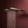Hansgrohe Raindance Alive S Puro 1 funkciós zuhanyrendszer 300 Ecostat Element termosztát EcoSmart, szálcsiszolt bronz 24593140