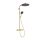 Hansgrohe Raindance Alive S Puro 1 funkciós zuhanyrendszer 300 Ecostat Element termosztát EcoSmart, polírozott arany hatású 24593990