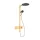 Hansgrohe Raindance Alive S zuhanyrendszer 300 ShowerSelect Comfort E termosztáttal EcoSmart, polírozott arany hatású 24596990
