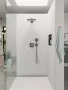 Hansgrohe Raindance Select E 120 3jet kézizuhany szálcsiszolt fekete króm kivitelben