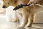 Hansgrohe Dogshower 150 kézizuhany kutyák részére 3 funkciós, matt fehér kivitelben