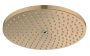 Hansgrohe Raindance S 240 1jet fejzuhany, szálcsiszolt bronz 27623140