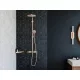 Hansgrohe Raindance Select S 240 1jet szálcsiszolt bronz zuhanyrendszer 27633140