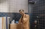Hansgrohe Activera Select S 2 funkciós kézizuhany 95 EcoSmart, króm kivitelben