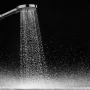 Hansgrohe Raindance Select E 3 funkciós kézizuhany 120 EcoSmart+, szálcsiszolt fekete króm 28729340