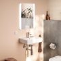 Hansgrohe Xarita Lite Q Tükör függőleges irányú LED világítással 50x70 fali kapcsolóhoz, matt fehér 54961700