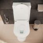 Hansgrohe EluPura Original S padlónálló vario kifolyású kerámia WC tartállyal és ülőkével, fehér 60205450