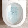 Hansgrohe EluPura S monoblokkos kerámia WC csésze vario kifolyású AquaFall Flush, fehér 60260450