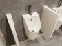 Hansgrohe EluPura Original S kerámia piszoár hátsó bemenettel és vario kimenettel, fehér 60286450