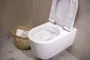 Hansgrohe EluPura S WC-szett falsík alatti öblítőrendszerrel és szálcsiszolt bronz nyomólappal, fehér