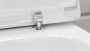Hansgrohe GladeLake S monoblokkos kerámia WC csésze tartállyal és SoftClose ülőkével AquaChannel Flush, fehér 60313450