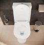 Hansgrohe EluPura Original S Monoblokkos kerámia WC csésze vario kifolyással, SmartClean, fehér 61176450