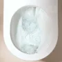Hansgrohe EluPura Original S ívelt fali kerámia WC hátsó kifolyással, HygieneEffect, fehér 62016450