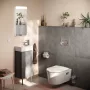 Hansgrohe iFrame Original S Öblítőlap 2 mennyiséges öblítéshez, króm 66002000