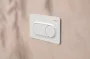Hansgrohe iFrame Original S Öblítőlap 2 mennyiséges öblítéshez, matt fehér 66002700