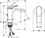 Hansgrohe Vivenis egykaros mosdócsaptelep 110, automata lefolyógarnitúrával, króm 75020000