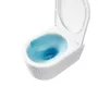 Invena Glamour Bordázott fali kerámia WC csésze Swirlflush öblítéssel és soft-close ülőkével, fehér CE-92-001-L