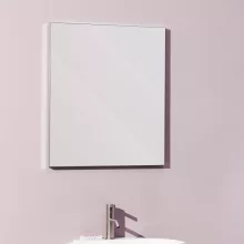   Laufen Frame 25 keretes tükör 65x70 cm, világítás nélkül, fényes alumínium H4474039001441