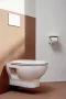 Laufen Lua Basic fali WC csésze, Slim SoftClose WC ülőkével, Csomagban H8660810000001
