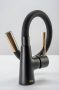 Rea Icon álló konyhai csaptelep elasztikus kifolyóval, fekete/arany REA-B5682