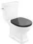 Roca Carmen Soft Close WC ülőke, SUPRALIT, sötét szürke A801B5238B