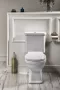 Sapho rozsdamentes acél álló WC-kefe tartó, bronz 753344