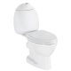 Sapho Kid gyermek monoblokk WC csésze tartállyal, hátsó kifolyású, fehér CK311.400