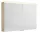 Sapho Linex tükrös szekrény LED világítással 100x70x15 cm, bardini szilva LX100-0013