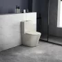 Sapho Paco monoblokkos kerámia WC dualgombos öblítőmechanikával, ülőke nélkül, elefántcsont PC1012WRBE